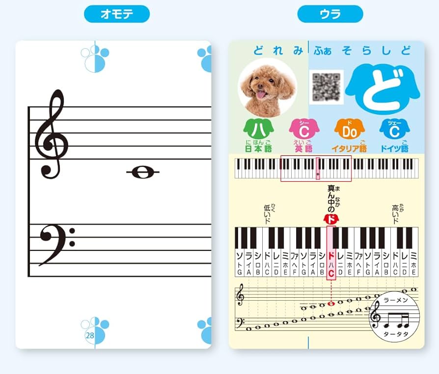 ④ フランス　アンティーク　音符　練習用カード　レア　123枚 楽天市場】色音符カード ヘ音記号 No-3-77-21 くおん 音手箱